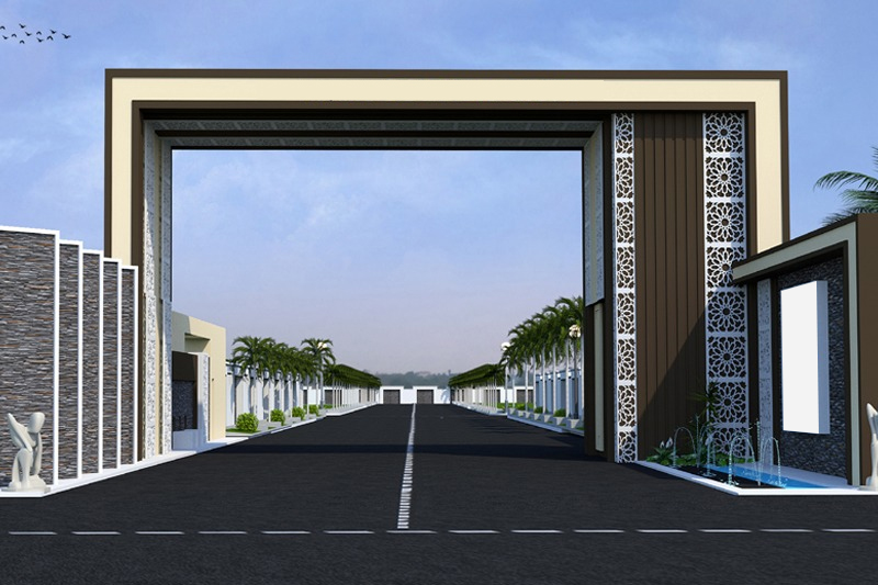 Avenue Trees: Avenue trees offering shade, beauty, and eco-friendly living.
